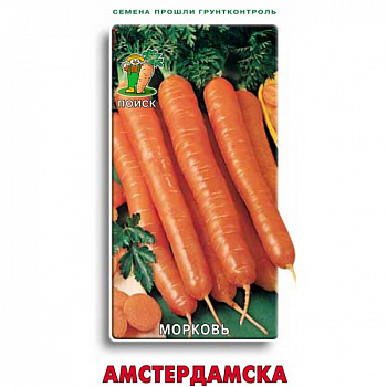 Морковь Амстердамска