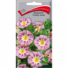 Вьюнок Розовое знамя