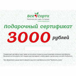 Подарочный сертификат на 3000 рублей