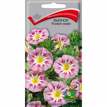 Вьюнок Розовое знамя