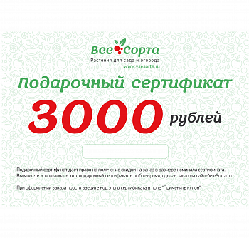 Подарочный сертификат на 3000 рублей