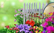 ☝ Ликбез для садовода - часть 45