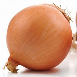 Лук репчатый Мастер Лук репчатый Мастер