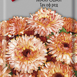 Календула махровая Тач оф Ред