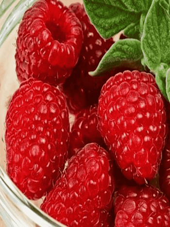 Малина обыкновенная Люлин