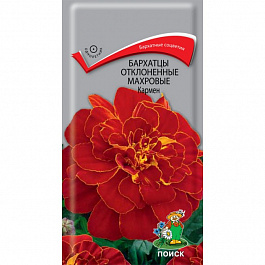 Бархатцы отклоненные махровые Кармен