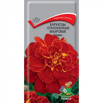 Бархатцы отклоненные махровые Кармен
