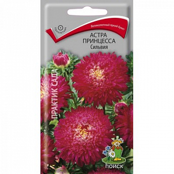 Астра принцесса Сильвия Астра принцесса Сильвия