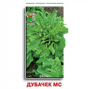 Салат Дубачек МС