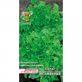 Салат Витаминный