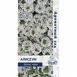 Алиссум Белое море