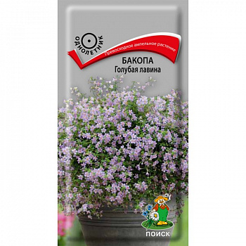 Бакопа Голубая лавина Бакопа Голубая лавина