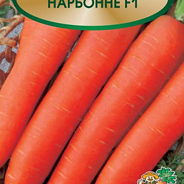 Морковь Нарбонне F1 Морковь Нарбонне F1