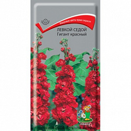 Левкой седой Гигант Красный