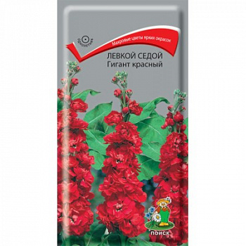 Левкой седой Гигант Красный