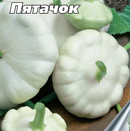 Патиссон Пятачок