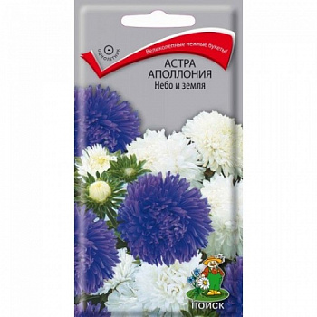 Астра Аполлония Небо и земля