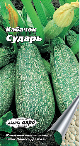 Кабачок Сударь