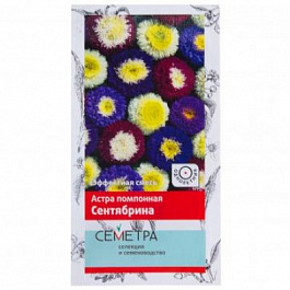 Астра помпонная Сентябрина