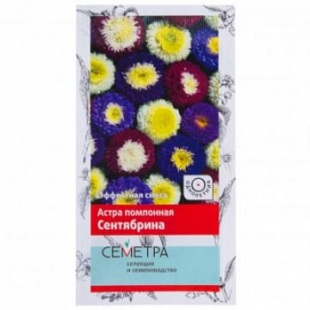 Астра помпонная Сентябрина