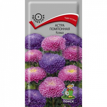 Астра помпонная Ксюша Астра помпонная Ксюша