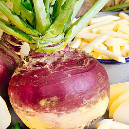 Брюква Гера