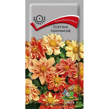 Георгина Коралловый риф