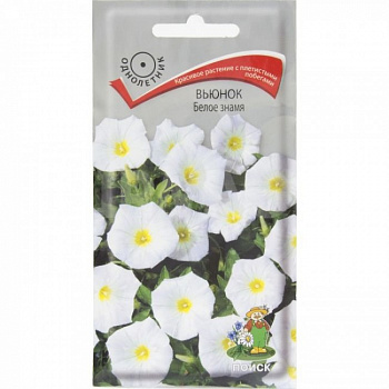 Вьюнок Белое знамя