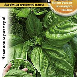 Базилик  Русский размер