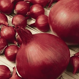Лук-севок Ред Кармен
