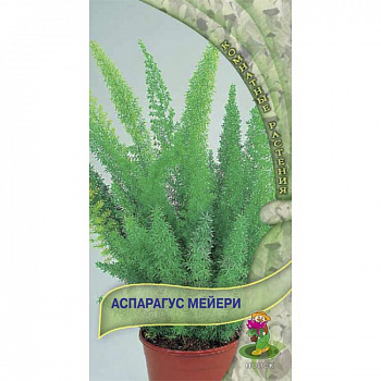 Аспарагус Мейери