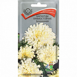 Бархатцы прямостоячие Килиманджаро