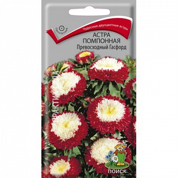 Астра помпонная Превосходный Гасфорд