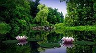 ☝ Ликбез для садовода - часть 34