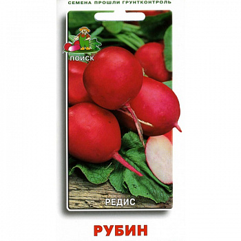 Редис Рубин