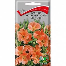 Годеция крупноцветковая Оранж Глори