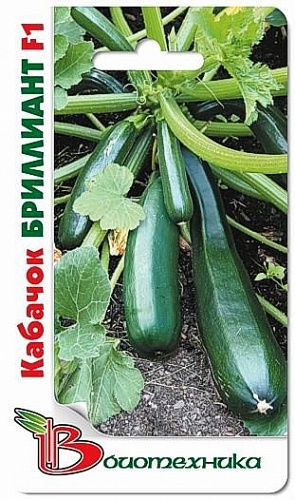 Кабачок  Бриллиант