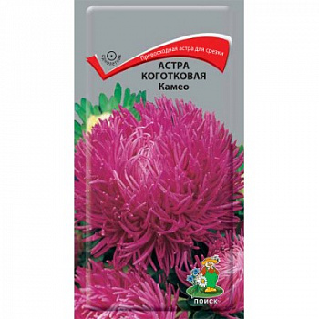 Астра коготковая Камео