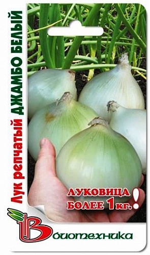 Лук Репчатый Джамбо Белый