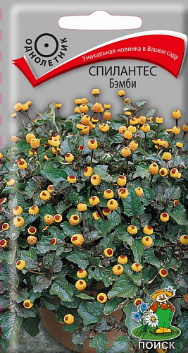 Спилантес Бэмби