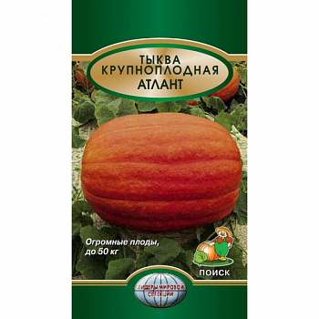 Тыква крупноплодная Атлант