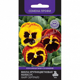 Виола крупноцветковая Колоссус Файр Сюрпрайз