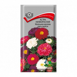 Астра низкорослая Маленькая королева смесь Астра низкорослая Маленькая королева смесь