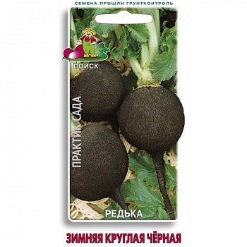 Редька Зимняя круглая черная