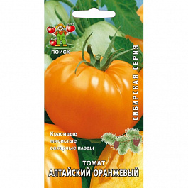 Томат Алтайский оранжевый
