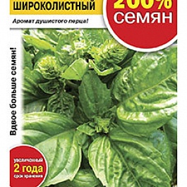 Базилик Широколистный