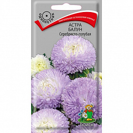 Астра Балун Серебристо-голубая Астра Балун Серебристо-голубая