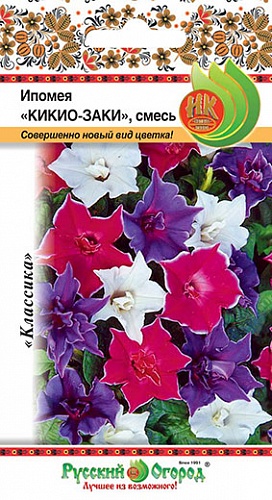 Ипомея Кикио-Заки