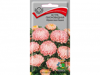 Астра пионовидная Абрикосовая башня