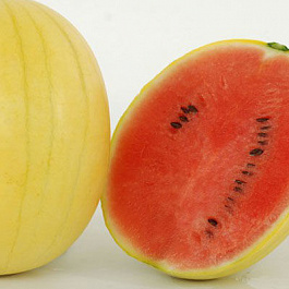 Арбуз Янтарный  F1